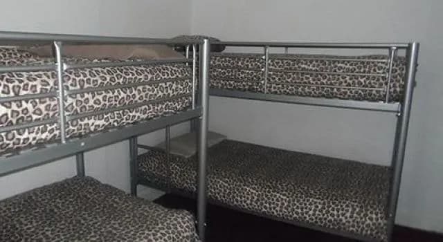 Hotel photo 29