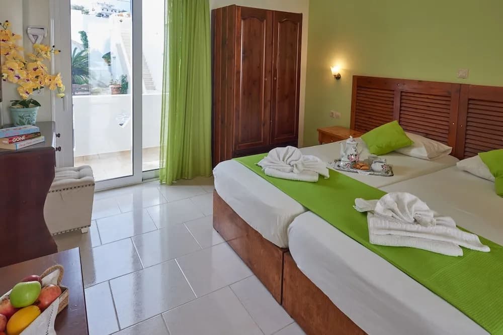 Standard Double room with balcony twin beds