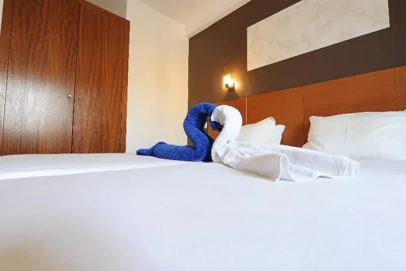 Standard Double room twin beds