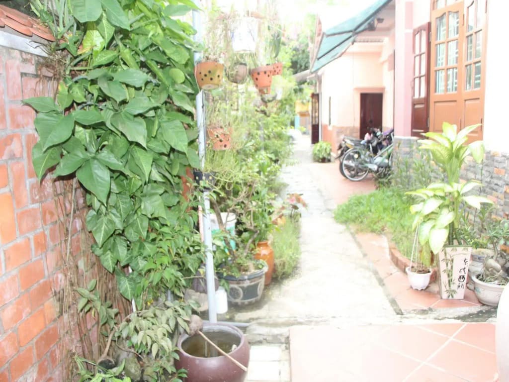 Hotel photo 13