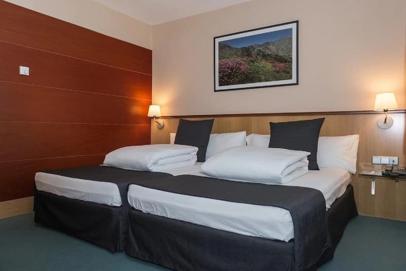 Standard Double room twin beds