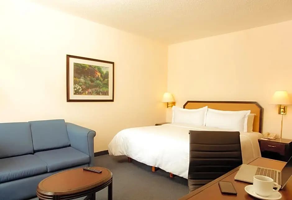 Standard Double room full double bed