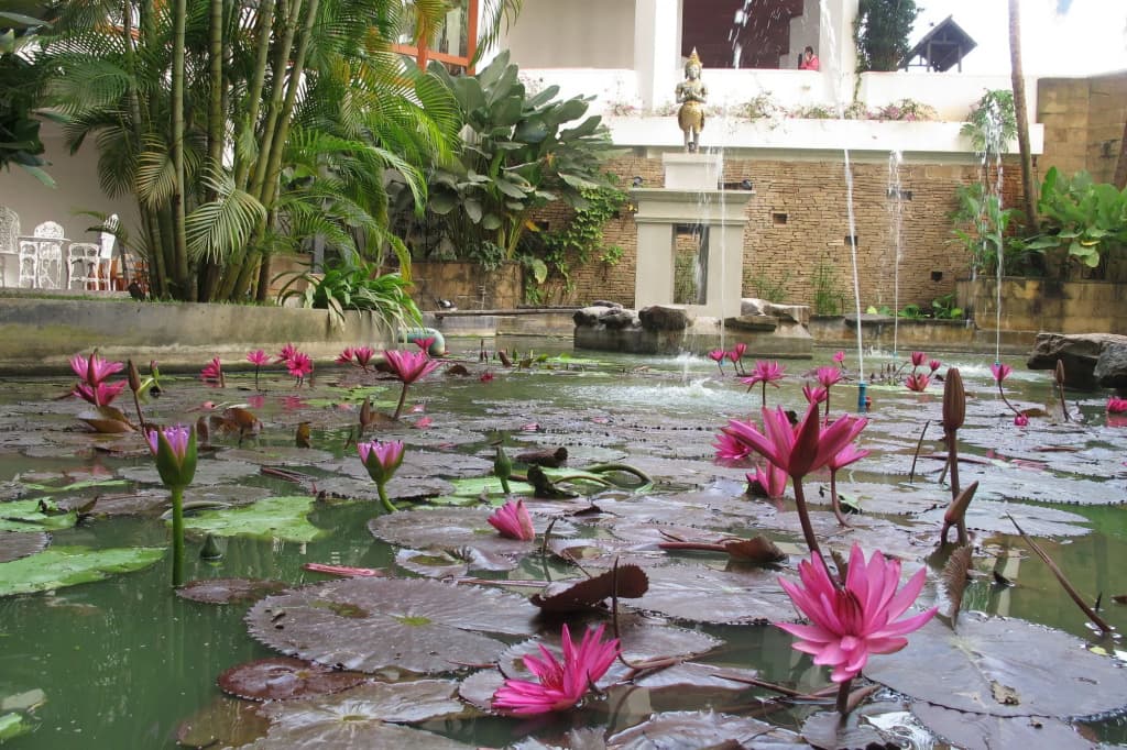 Hotel photo 20