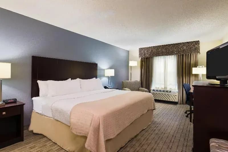 Standard Suite