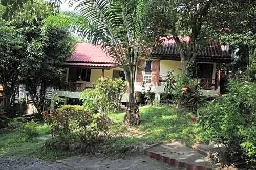 Bungalow with garden view