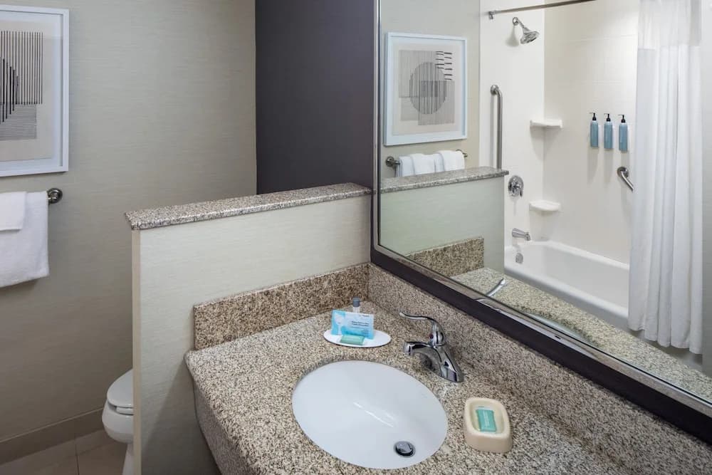 1 Bedroom Suite