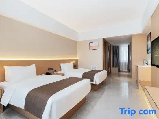 Deluxe Double room with balcony and with city view twin beds