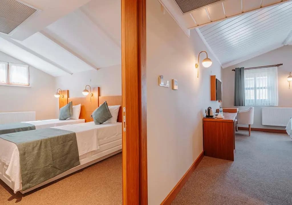 Superior Double Suite full double bed