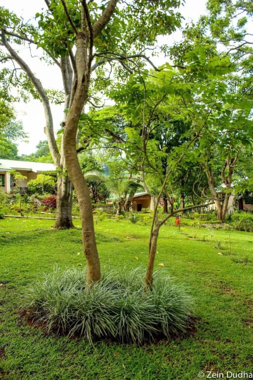 Hotel photo 25