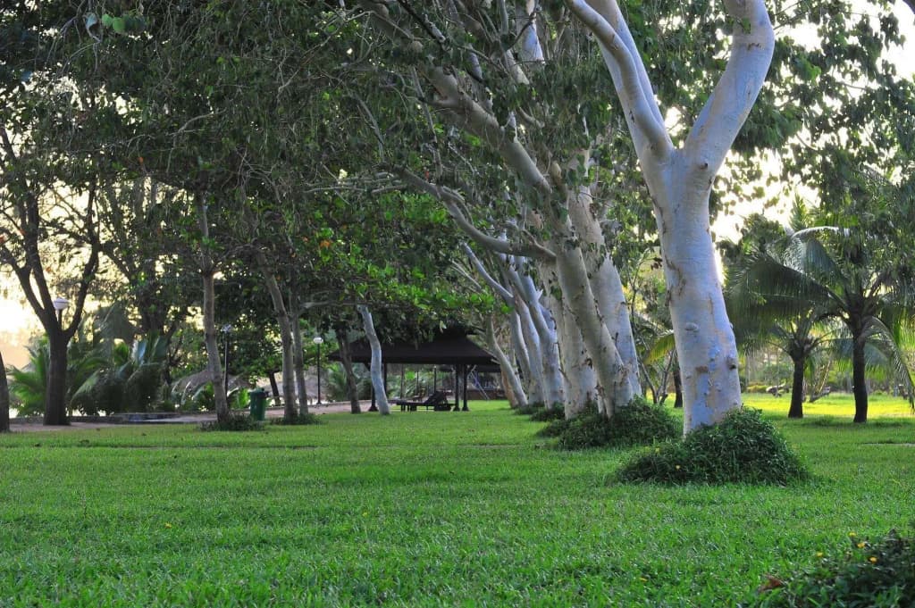 Hotel photo 26