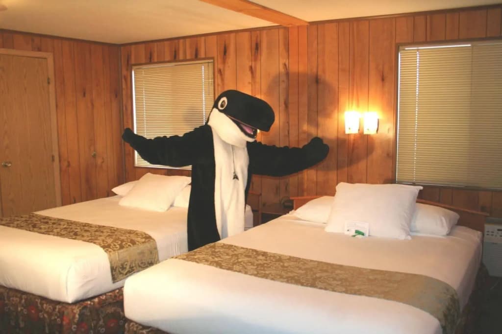 Hotel photo 14