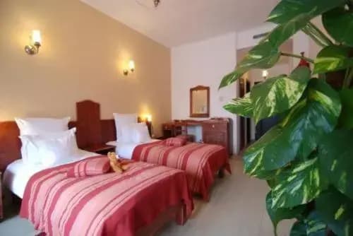 Superior room