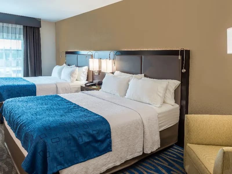 Standard Double room twin beds