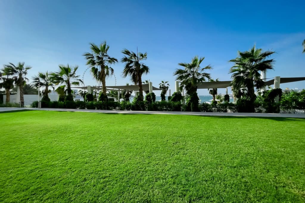 Hotel photo 36