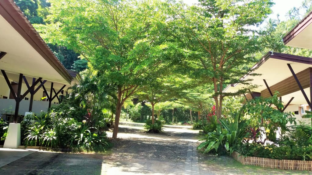 Hotel photo 25
