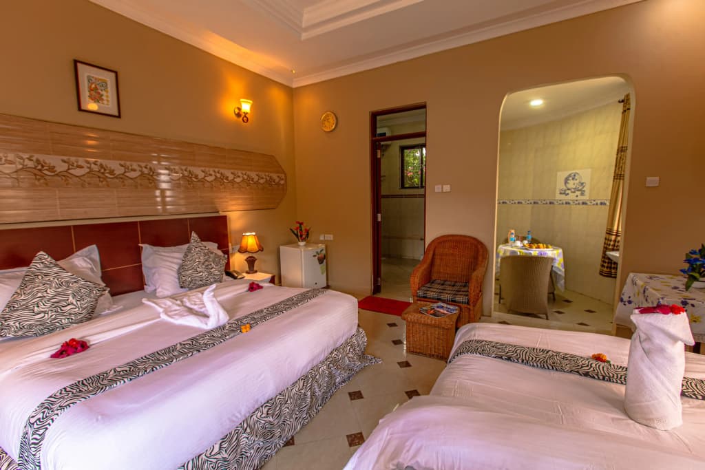 Deluxe Single room with balcony and with view
