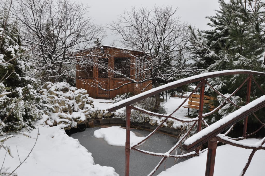 Hotel photo 29