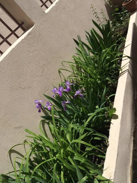Hotel photo 38