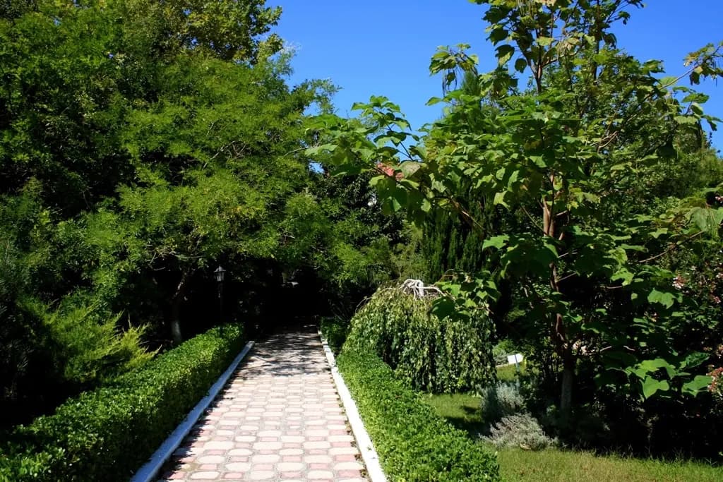 Hotel photo 32