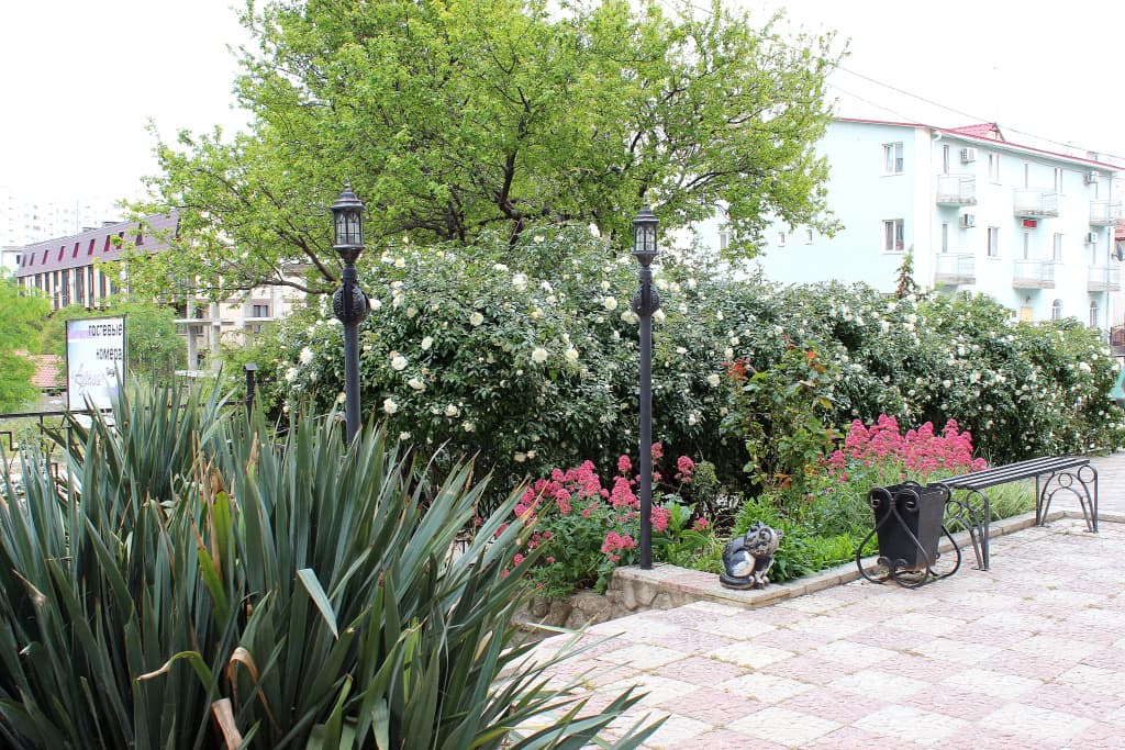 Hotel photo 9