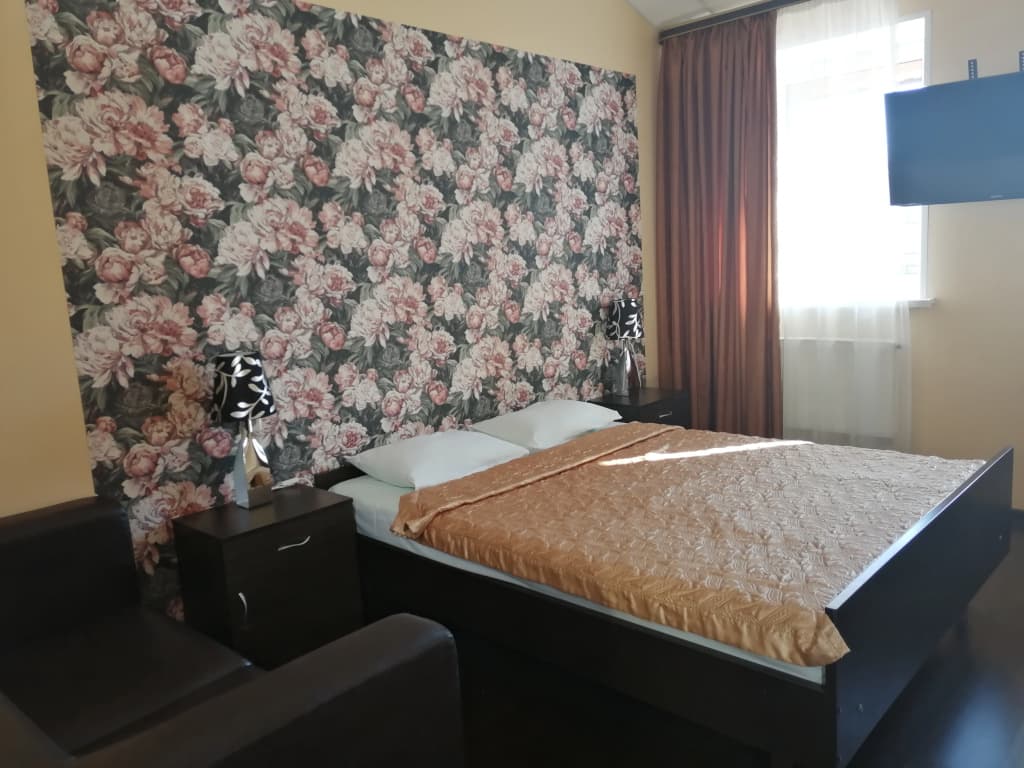 Standard Double room full double bed