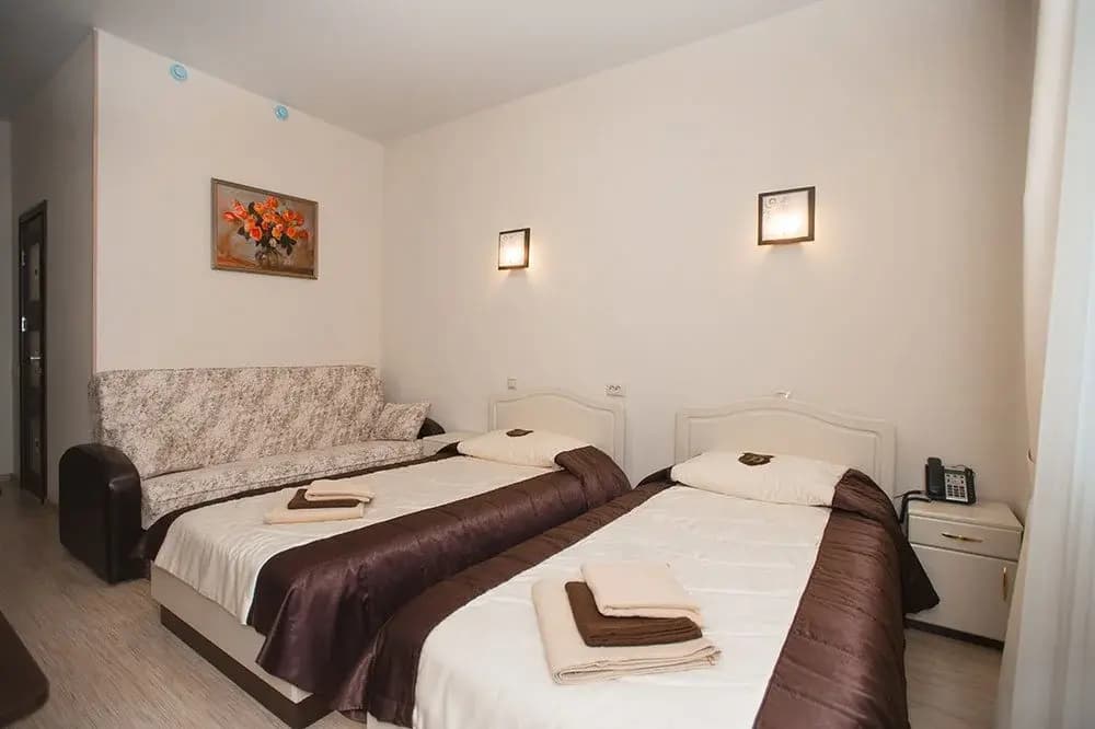 Standard Double room twin beds