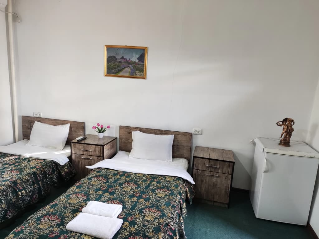 Standard Double room with balcony and with view twin beds