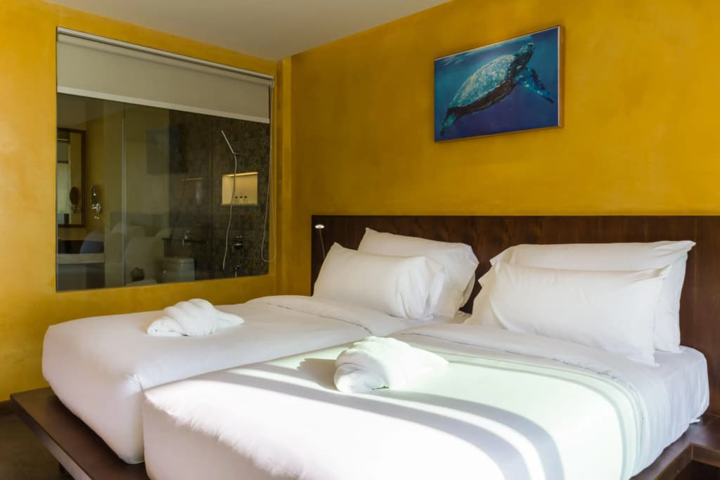 Deluxe Double room twin beds