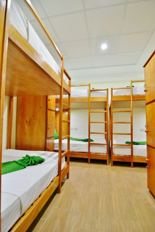 Bed in Dorm