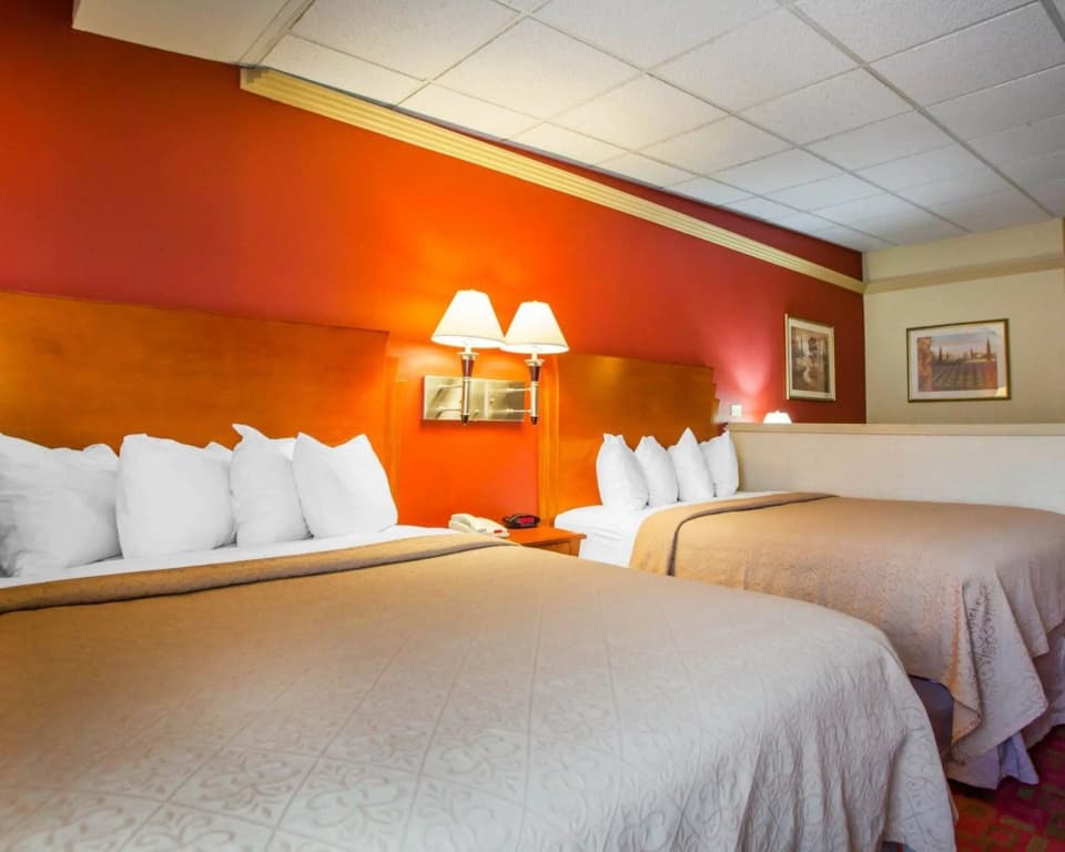 Quadruple Suite