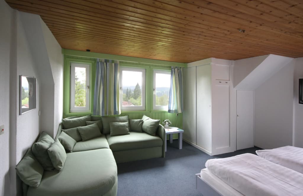Standard Double room full double bed
