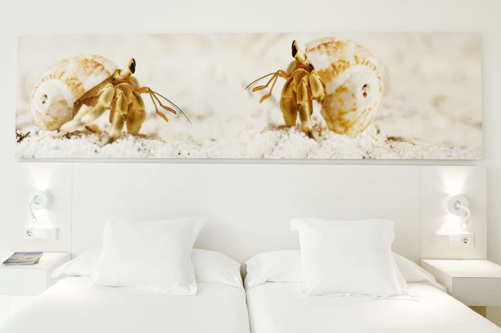 Double room twin beds