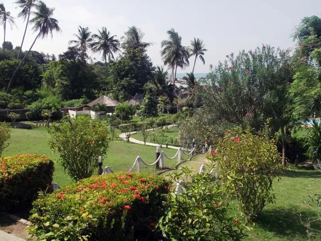 Hotel photo 15