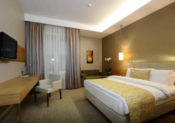 Efficiency Double room full double bed