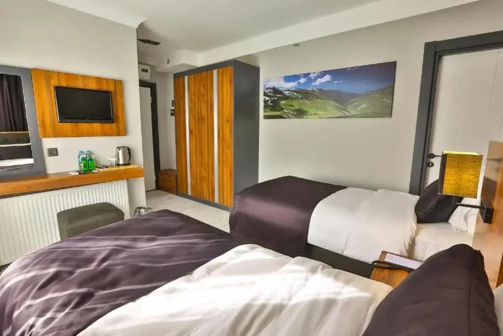 Standard Double room twin beds