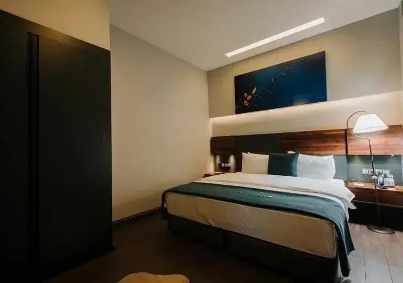 Premium with Garden and Terrace Double Suite full double bed