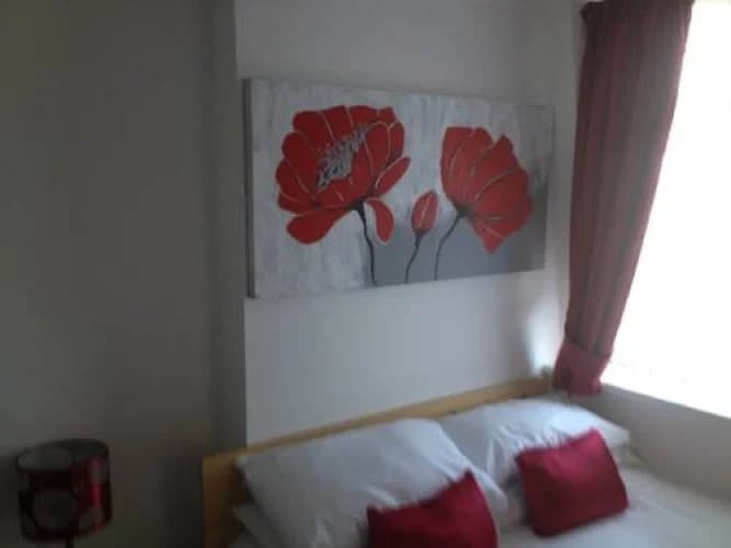 Standard Double room full double bed