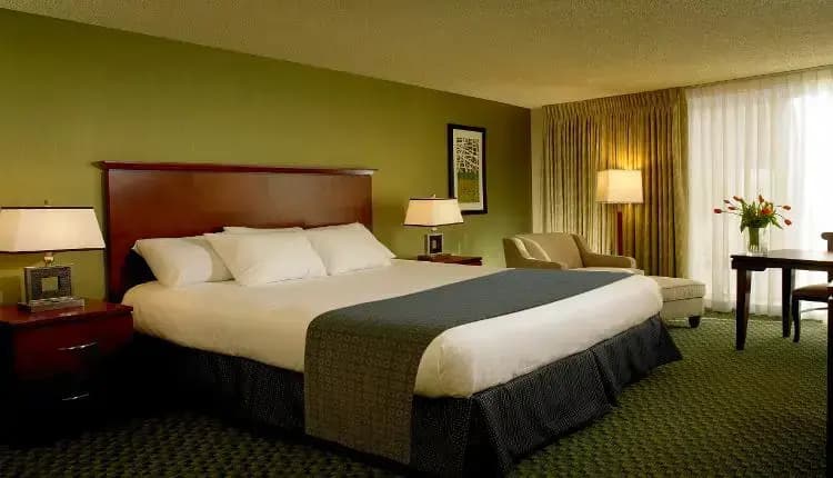 Room with river view