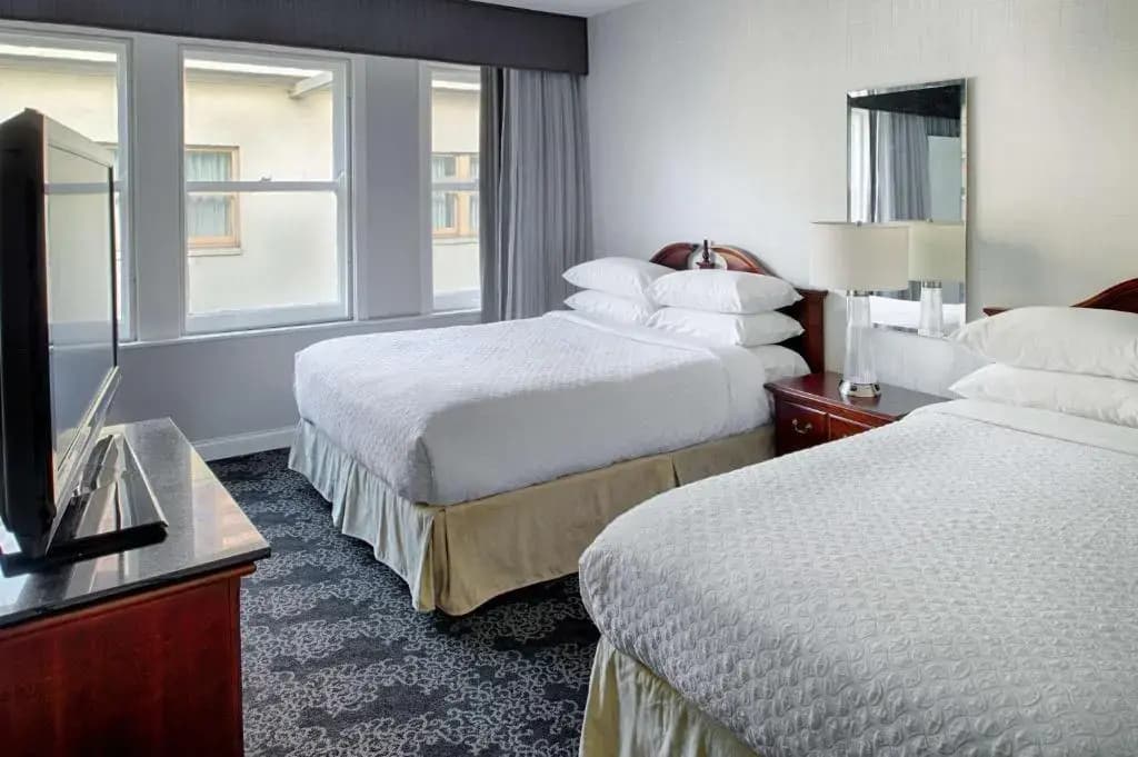 1 Bedroom Quadruple Suite
