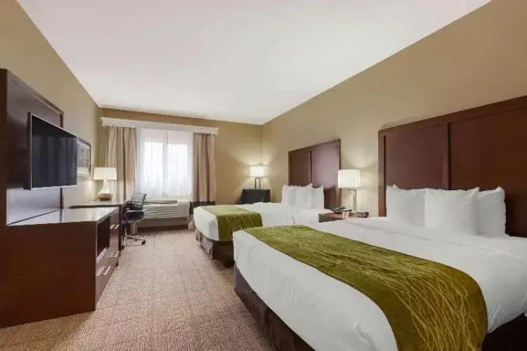 Double room twin beds