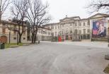 Papavero Accademia Carrara