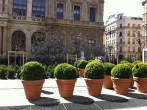 Appartements Hôtel de Ville
