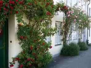 Gästehaus am Krähenteich
