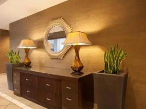 Stay Alfred on State Street