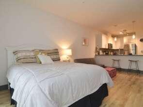 Waterfront Modern Studio Rooftop Views