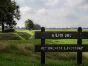 Wilmsboo