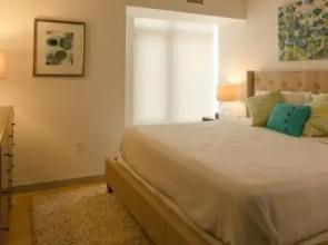 Stay Alfred on A Street