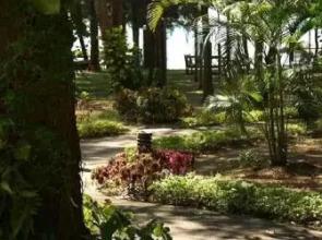 Sea Village Beach Front