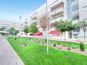 Apt Mika - Inh 24449