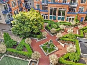 Belltown Court Water View Penthouse